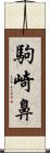 駒崎鼻 Scroll