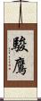 駿鷹 Scroll