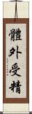體外受精 Scroll