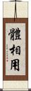 體相用 Scroll