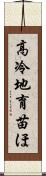 高冷地育苗ほ Scroll