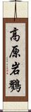 高原岩鷚 Scroll