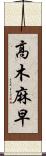 高木麻早 Scroll