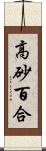 高砂百合 Scroll