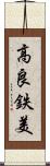 高良鉄美 Scroll