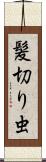 髪切り虫 Scroll