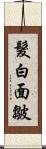 髮白面皺 Scroll