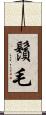鬚毛 Scroll