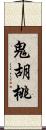 鬼胡桃 Scroll