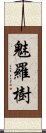 魅羅樹 Scroll