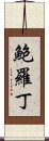 鮑羅丁 Scroll