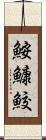 鮟鱇鮫 Scroll