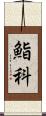 鮨科 Scroll