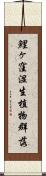 鯉ヶ窪湿生植物群落 Scroll