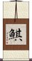 鯕 Scroll