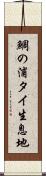鯛の浦タイ生息地 Scroll