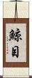 鯨目 Scroll