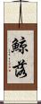 鯨落 Scroll