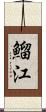 鰡江 Scroll