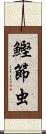 鰹節虫 Scroll