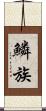 鱗族 Scroll