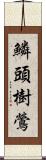 鱗頭樹鶯 Scroll