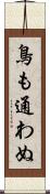 鳥も通わぬ Scroll