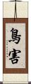 鳥害 Scroll