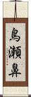 鳥瀬鼻 Scroll