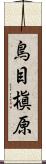 鳥目槇原 Scroll