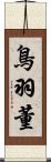 鳥羽董 Scroll