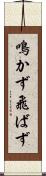 鳴かず飛ばず Scroll