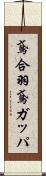 鳶合羽 Scroll