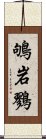 鴝岩鷚 Scroll