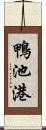 鴨池港 Scroll