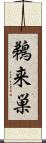 鵜来巣 Scroll