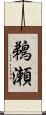 鵜瀬 Scroll