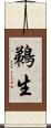 鵜生 Scroll