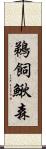 鵜飼鰍森 Scroll