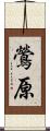 鶯原 Scroll