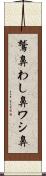 鷲鼻 Scroll