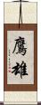 鷹雄 Scroll