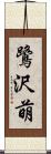 鷺沢萌 Scroll