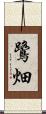 鷺畑 Scroll