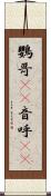 鸚哥(rK) Scroll