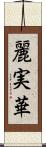 麗実華 Scroll