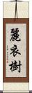 麗衣樹 Scroll