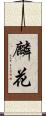 麟花 Scroll