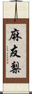 麻友梨 Scroll