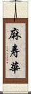 麻寿華 Scroll